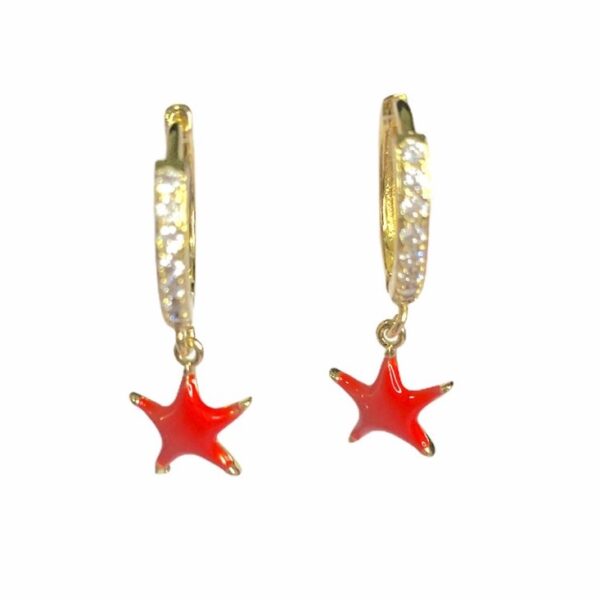 ZARCILLOS DE ESTRELLA FUCSIA