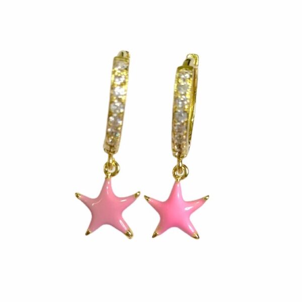 ZARCILLOS DE ESTRELLA ROSA