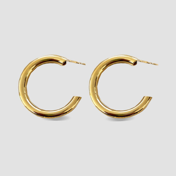 Zarcillos Basicas Medianas