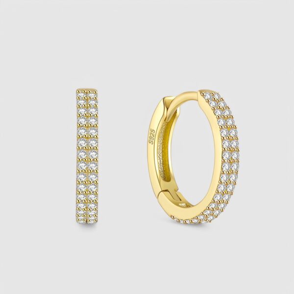 Zarcillos Leonella Plata 925