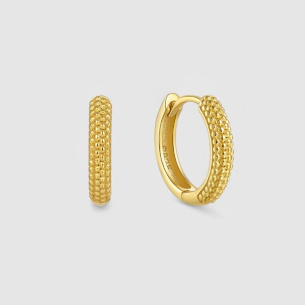 Zarcillo Becky Plata 925