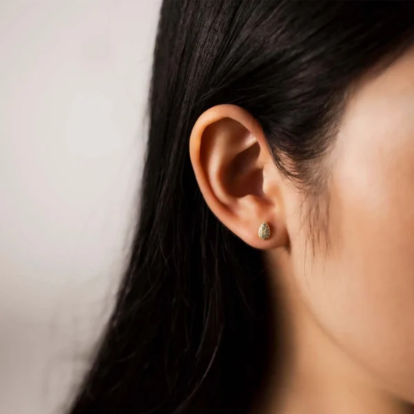 Zarcillo Gota Brillante Plata 925