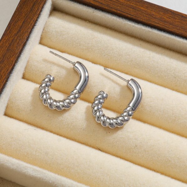 Zarcillos Básico Mod12