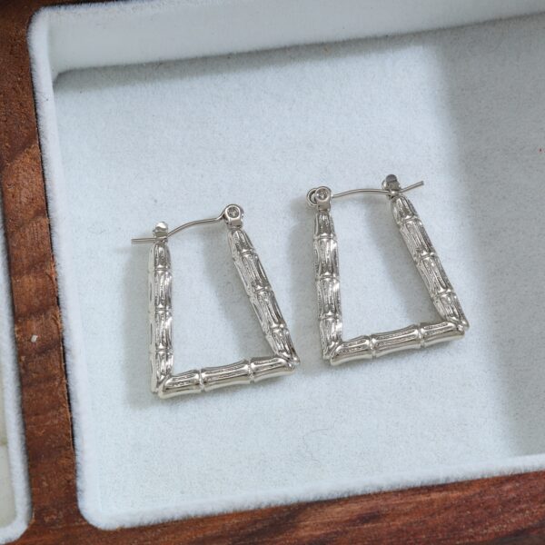 Zarcillos Básico Mod10