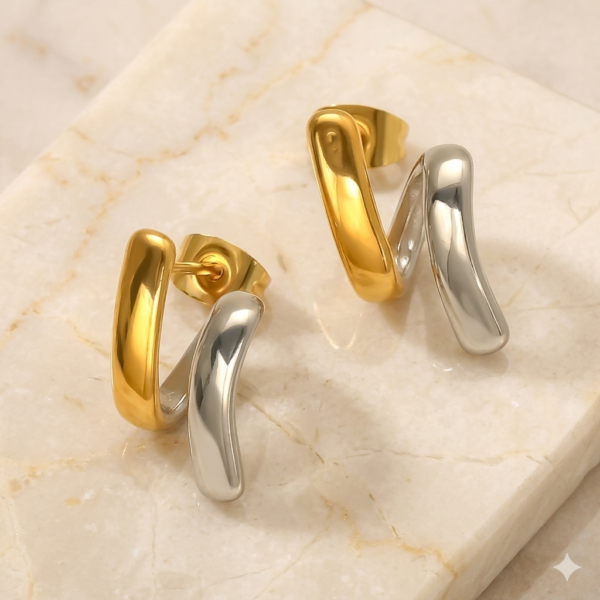 Zarcillos Bicolor Seischell